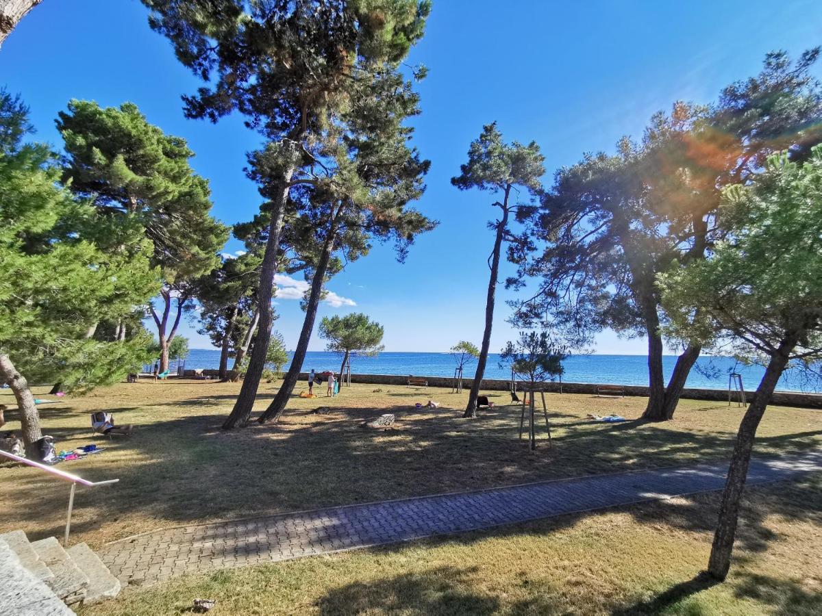 Emily Deluxe Superior 5 Star Studio Apartment, Your Piece Of Heaven With Sea & Park View Novigrad  Exterior photo